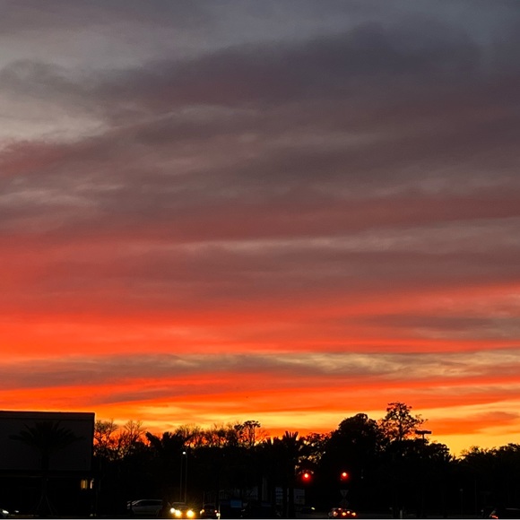 Meet your Posher, Alex - Picture 1 of 1